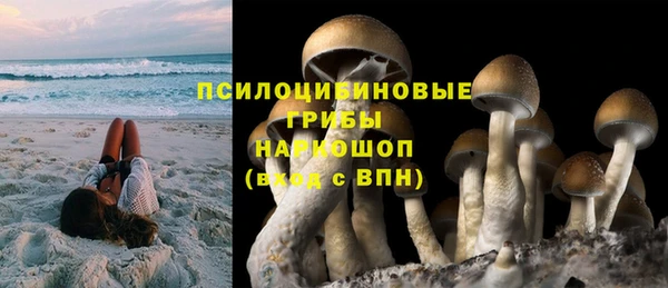 спиды Покровск